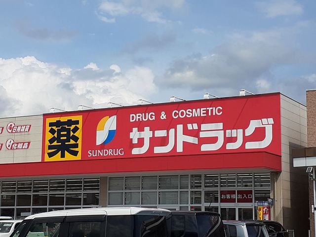 ドラックストア　サンドラッグ国分店（ドラッグストア）まで1300m