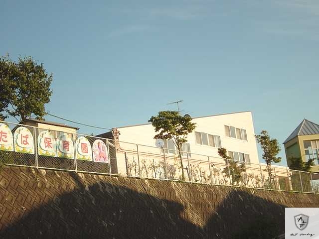 幼稚園・保育園　双葉保育園（幼稚園・保育園）まで2175m