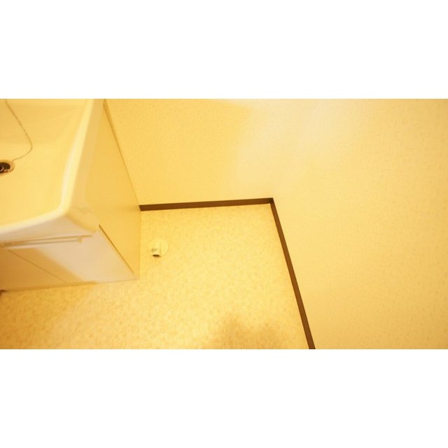 その他部屋・スペース　室内洗濯機置場