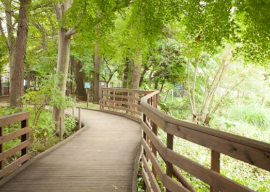 公園　読書の森公園（公園）まで648m