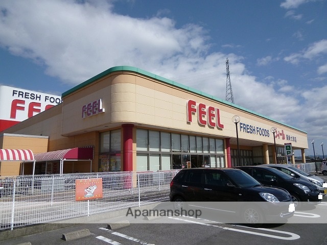 スーパー　ＦＥＥＬ（スーパー）まで1000m
