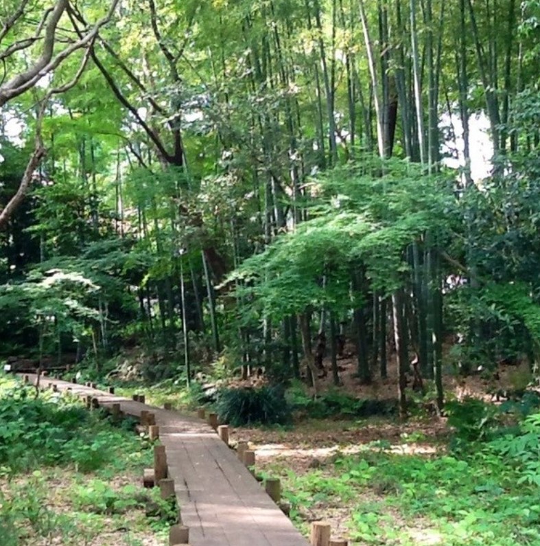 公園　岡本下山小緑地（公園）まで450m
