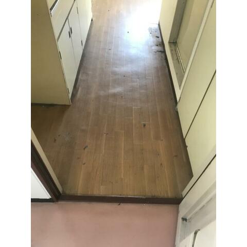 玄関　玄関です