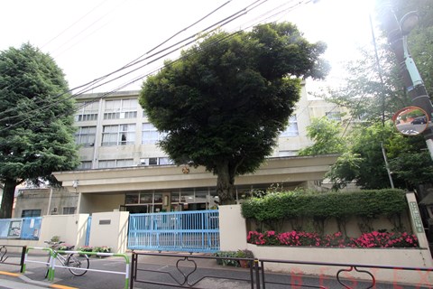 小学校　文京区立関口台町小学校（小学校）まで499m