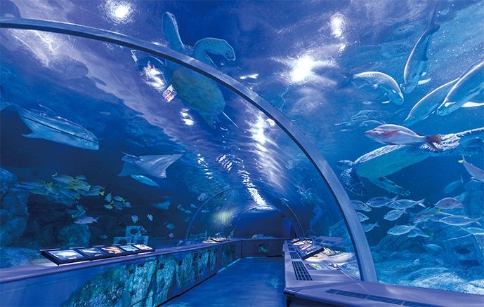 その他　しながわ水族館 (bikeshareポート)（その他）まで352m