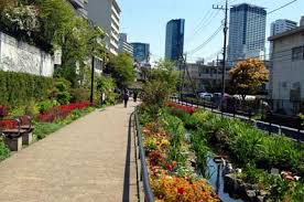 公園　目黒川緑道（公園）まで174m