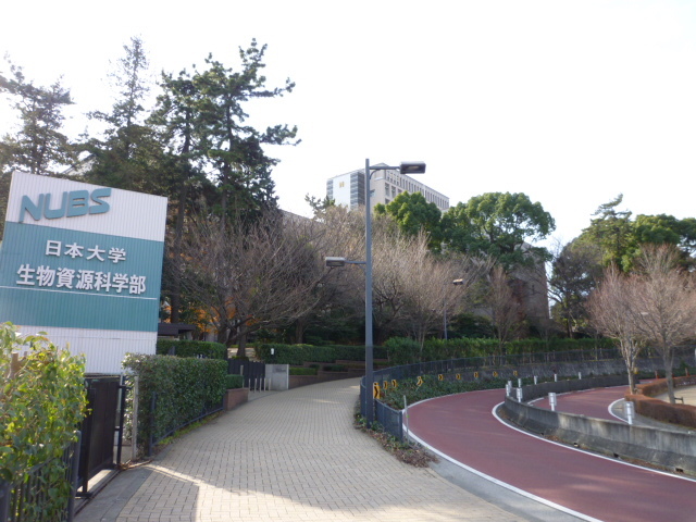 大学・短大　日本大学湘南キャンパス（大学・短大）まで650m