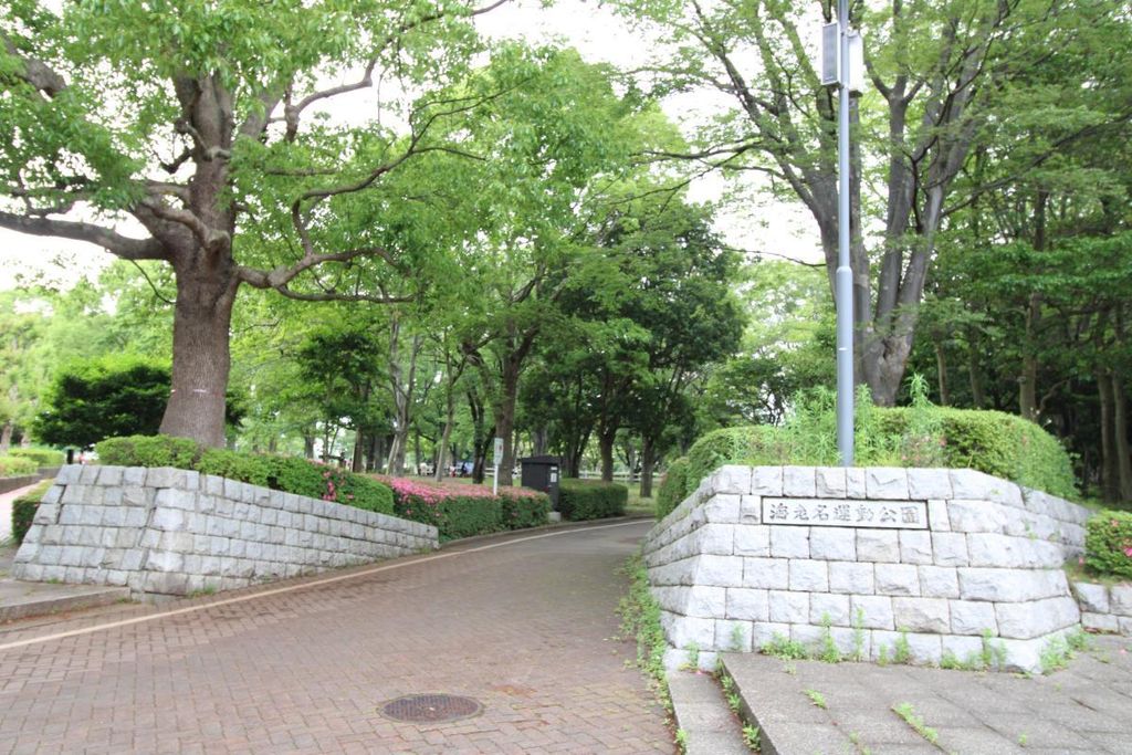 公園　海老名運動公園（公園）まで3500m