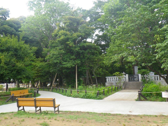 公園　世田谷区立若林公園（公園）まで270m