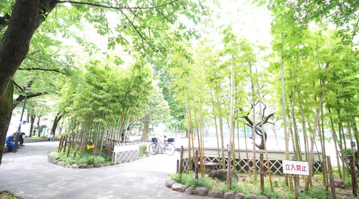 公園　松葉公園（公園）まで276m
