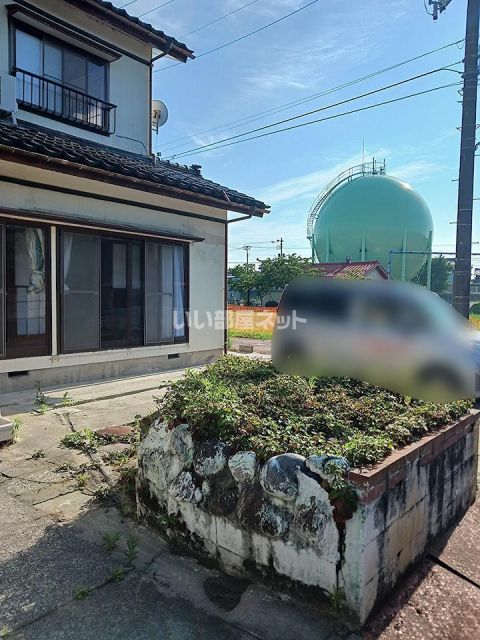 庭