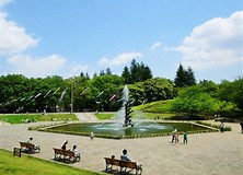公園　世田谷公園（公園）まで646m