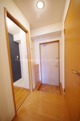 玄関　※類似室内