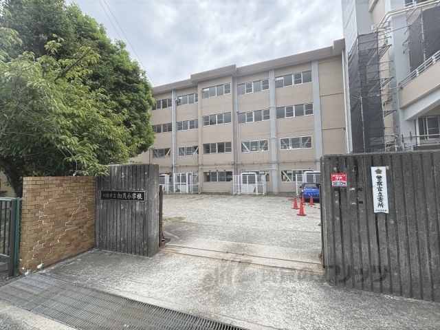小学校　川西市立加茂小学校（小学校）まで450m