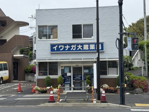 ドラックストア　イワナガ大蔵薬局（ドラッグストア）まで300m