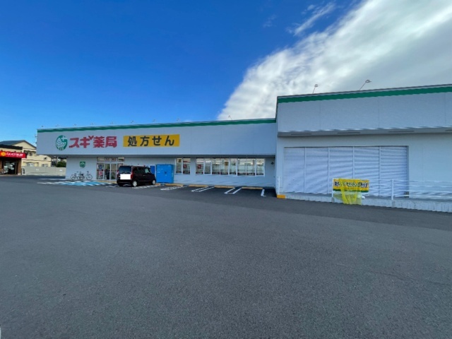 ドラックストア　スギドラッグ小牧岩崎店（ドラッグストア）まで348m