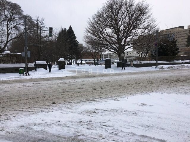 大学・短大　国立北海道大学　北１３条門（大学・短大）まで643m