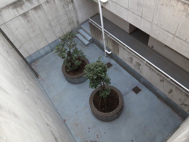 庭