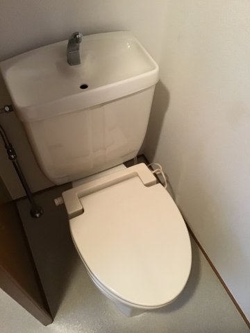 トイレ　トイレも気になるポイント