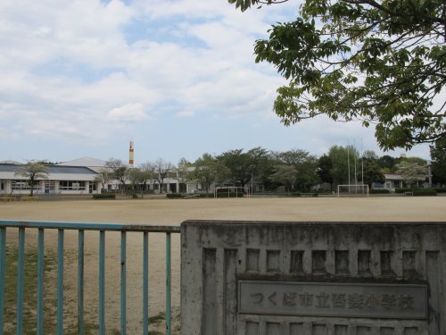 小学校　吾妻小学校（小学校）まで1100m