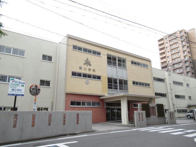 小学校　郡山市立橘小学校（小学校）まで213m