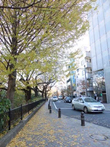 その他　風の散歩道（その他）まで700m