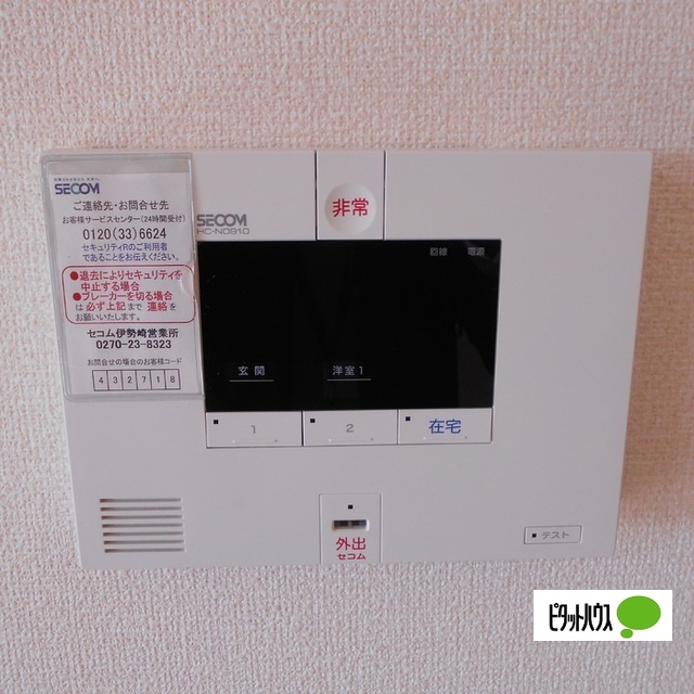 ブレシア カツラのその他写真