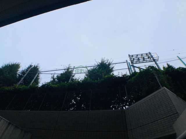 眺望　パークグレイス駒込