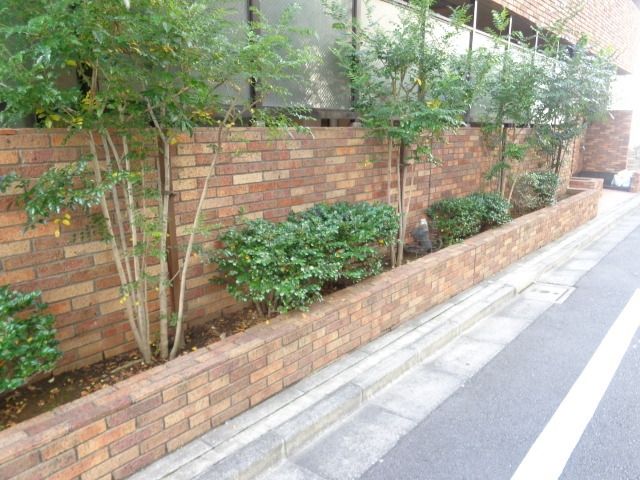 庭　植栽