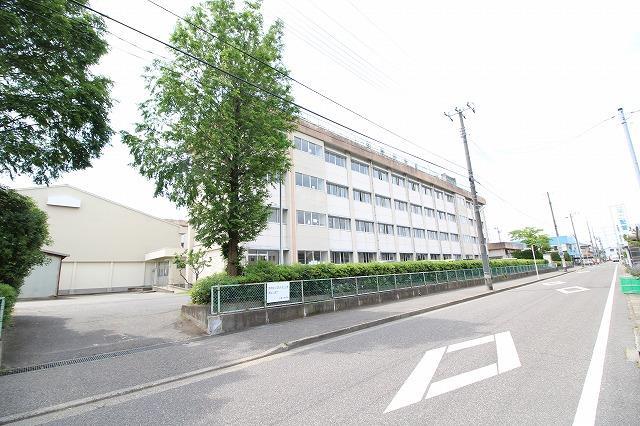 小学校　新潟市立江南小学校（小学校）まで201m