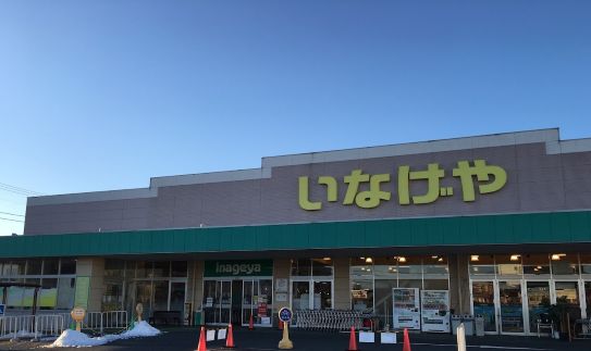 スーパー　いなげや練馬上石神井南店（スーパー）まで877m