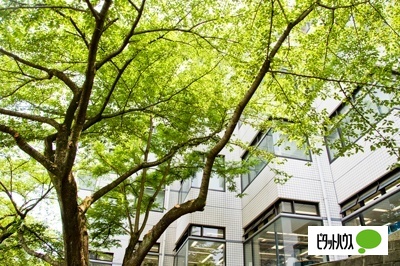 図書館　國學院大学たまプラーザ図書館（図書館）まで1762m