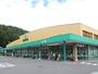 スーパー　ツルヤ茅野店（スーパー）まで208m