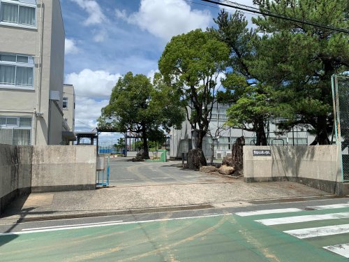 小学校　豊橋市立幸小学校（小学校）まで501m