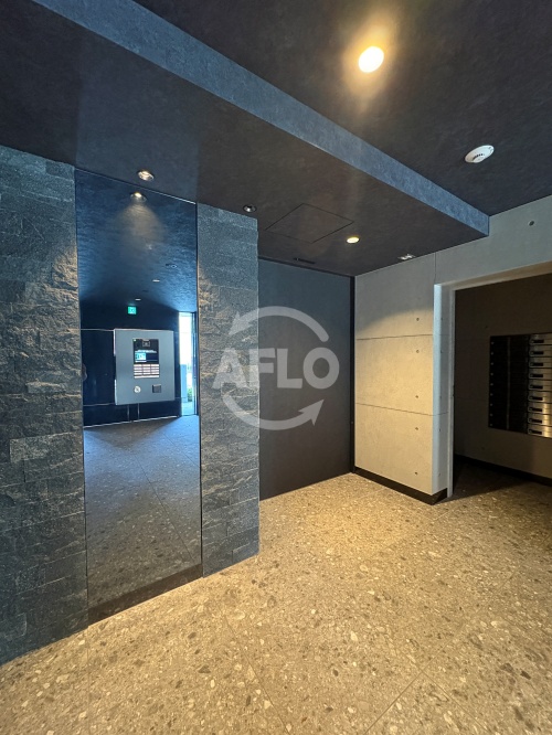エントランス　S-RESIDENCE阿波座chiaro　エントランス