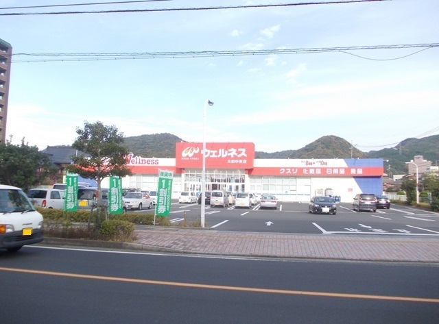 その他　ウェルネス 大田中央店まで650m