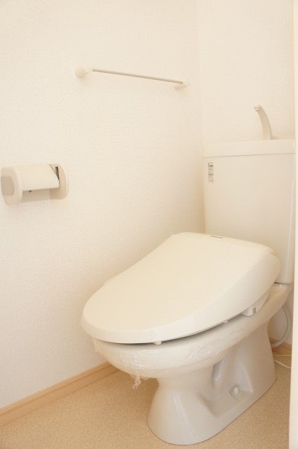 アムールIIのトイレ写真