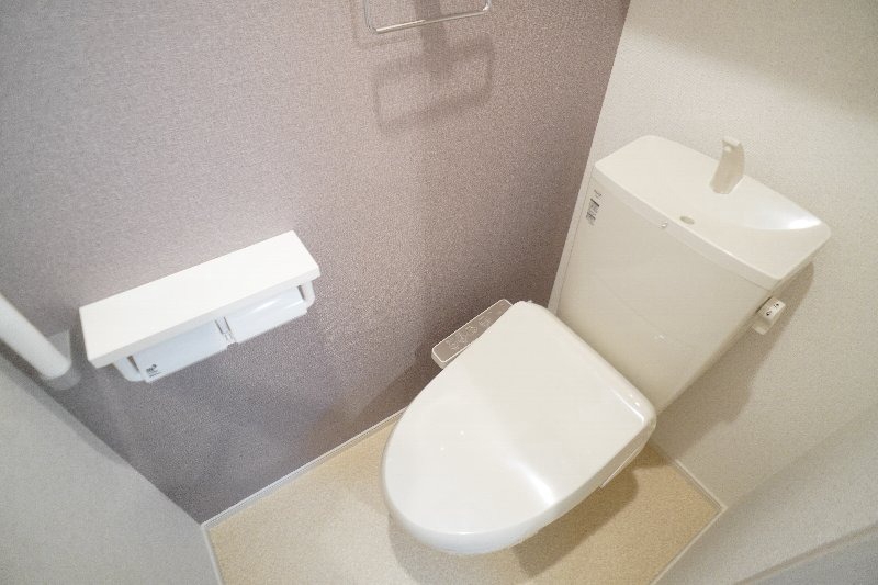 湘南新宿ライン高海 新前橋駅 徒歩40分 2階建 築3年のトイレ写真