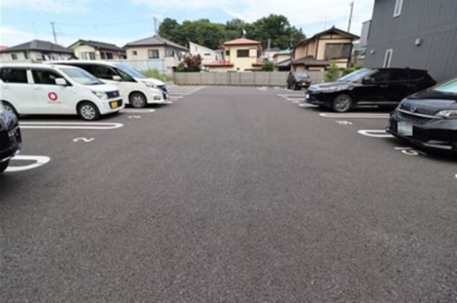 アレグリアのその他写真