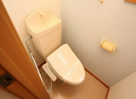 ラフィネ花瀬 弐番館のトイレ写真