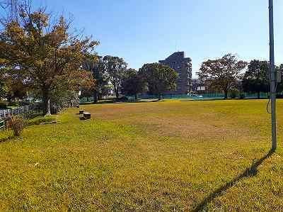 公園　公園（公園）まで300m
