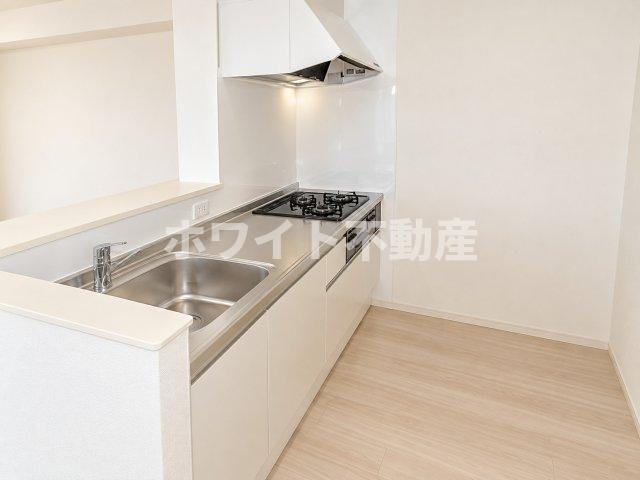 地下鉄千日前線 新深江駅 徒歩7分 2階建 築9年のキッチン写真