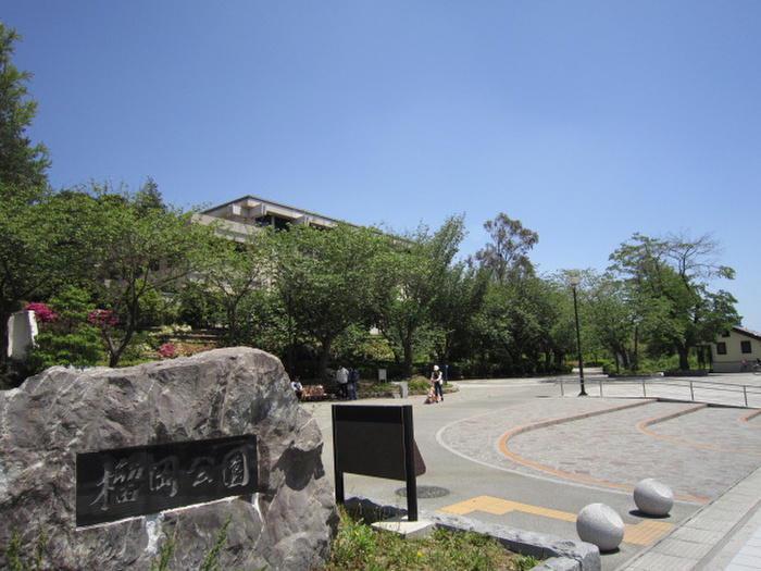 公園　榴ヶ岡公園（公園）まで674m