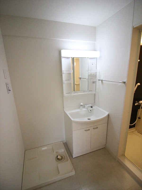 洗面設備　独立洗面所・洗髪洗面化粧台（写真は301）