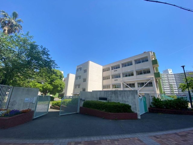 中学校　西宮市立鳴尾南中学校（中学校）まで600m