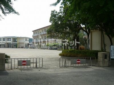 小学校　薩摩川内市立育英小学校（小学校）まで964m