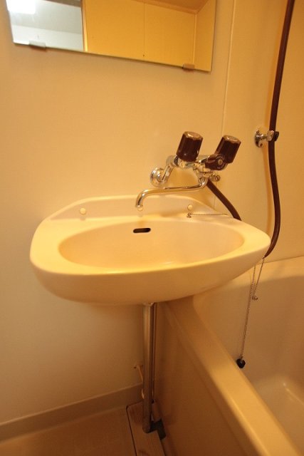 洗面設備　写真は別号室のものです。
