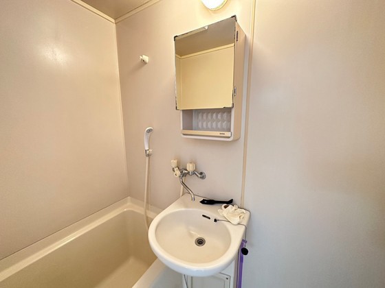 洗面設備　※別部屋の写真です