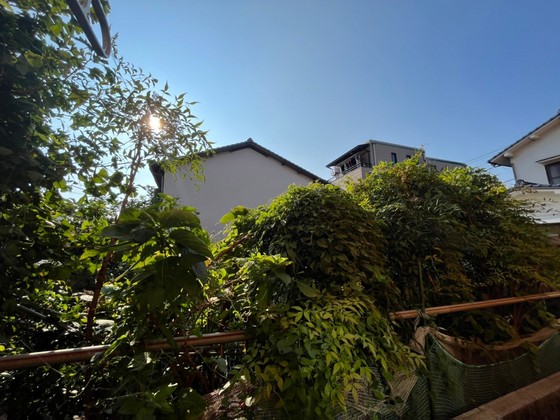 眺望　※別部屋の写真です