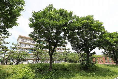 その他共有部分　敷地内５